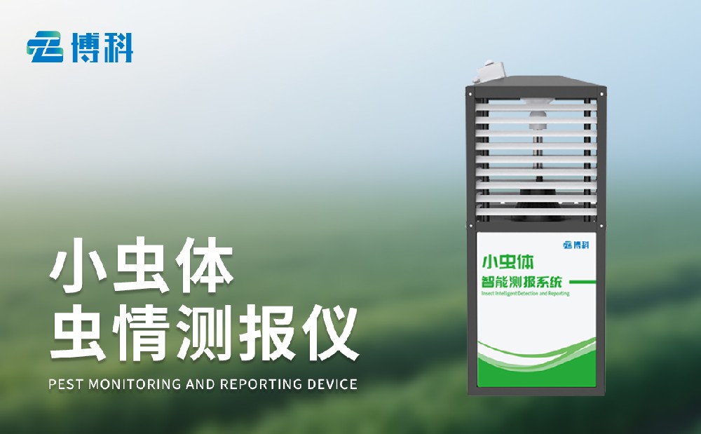 小蟲體蟲情測(cè)報(bào)儀